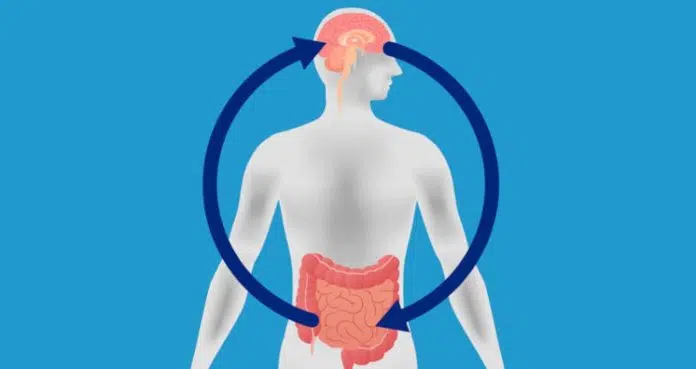 كيف تؤثر العواطف على صحة الجهاز الهضمي والدماغ؟