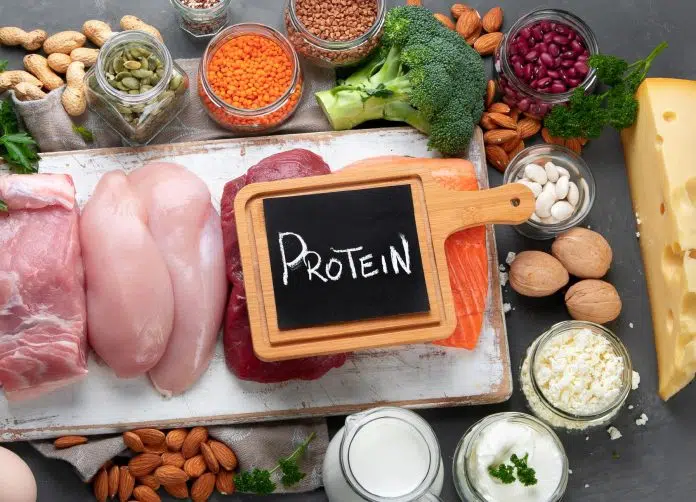 البروتينات: لبناء جسم سليم وقوي