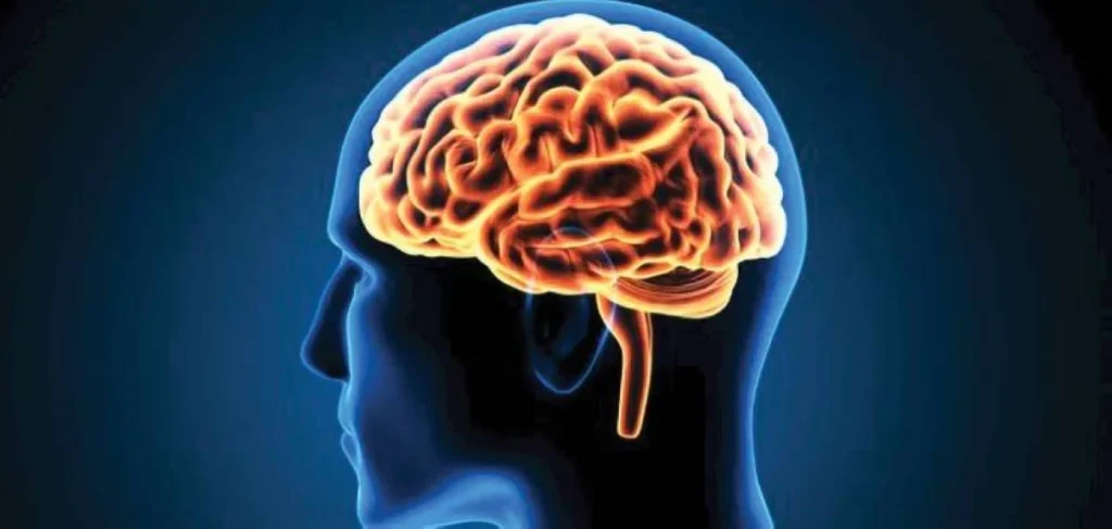 ابتكار دماغ اصطناعي شبيه بالبشر