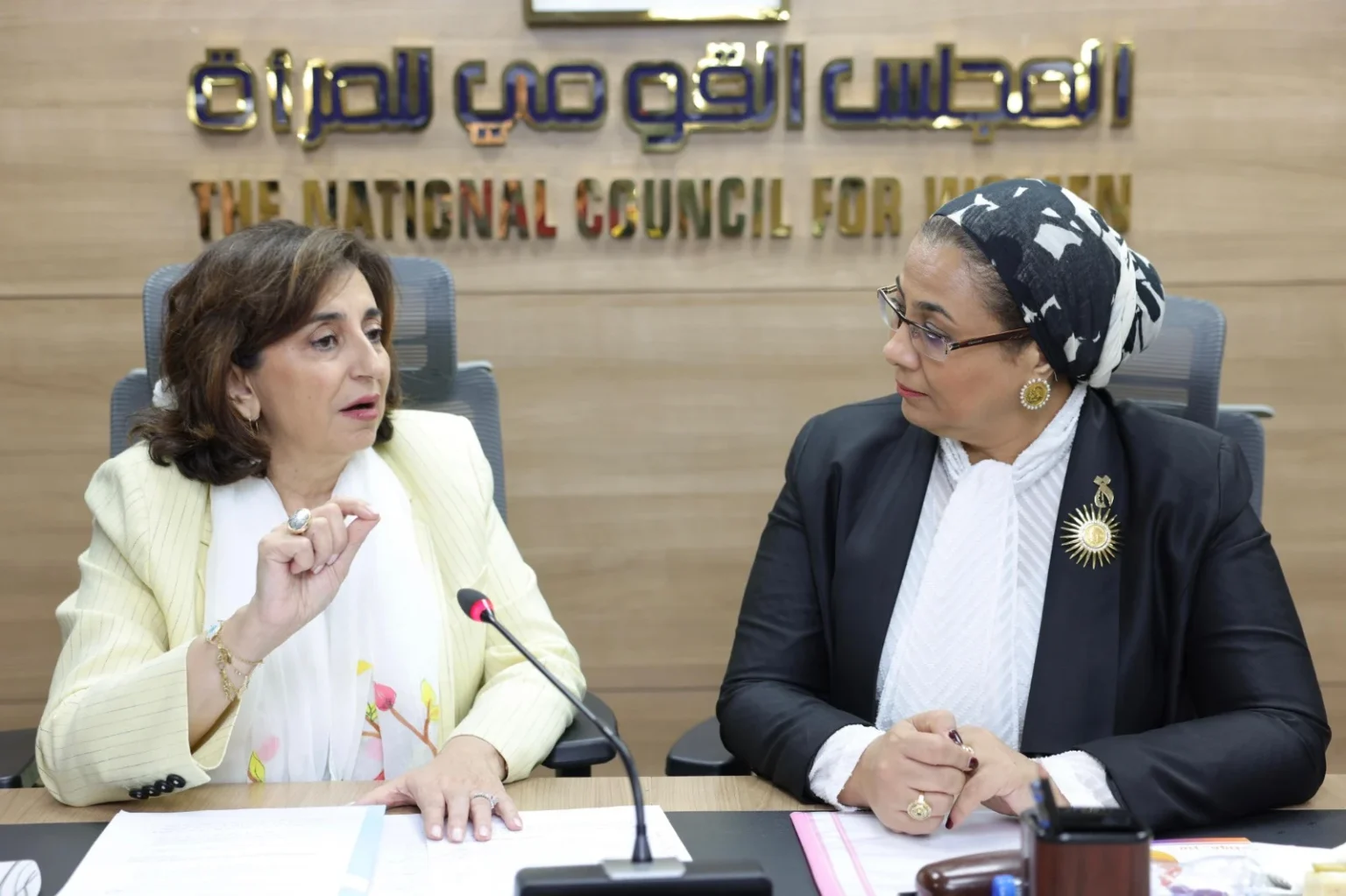 المستشارة أمل عمار والمديرة التنفيذية لهيئة الأمم المتحدة للمرأة تناقشان سبل التعاون