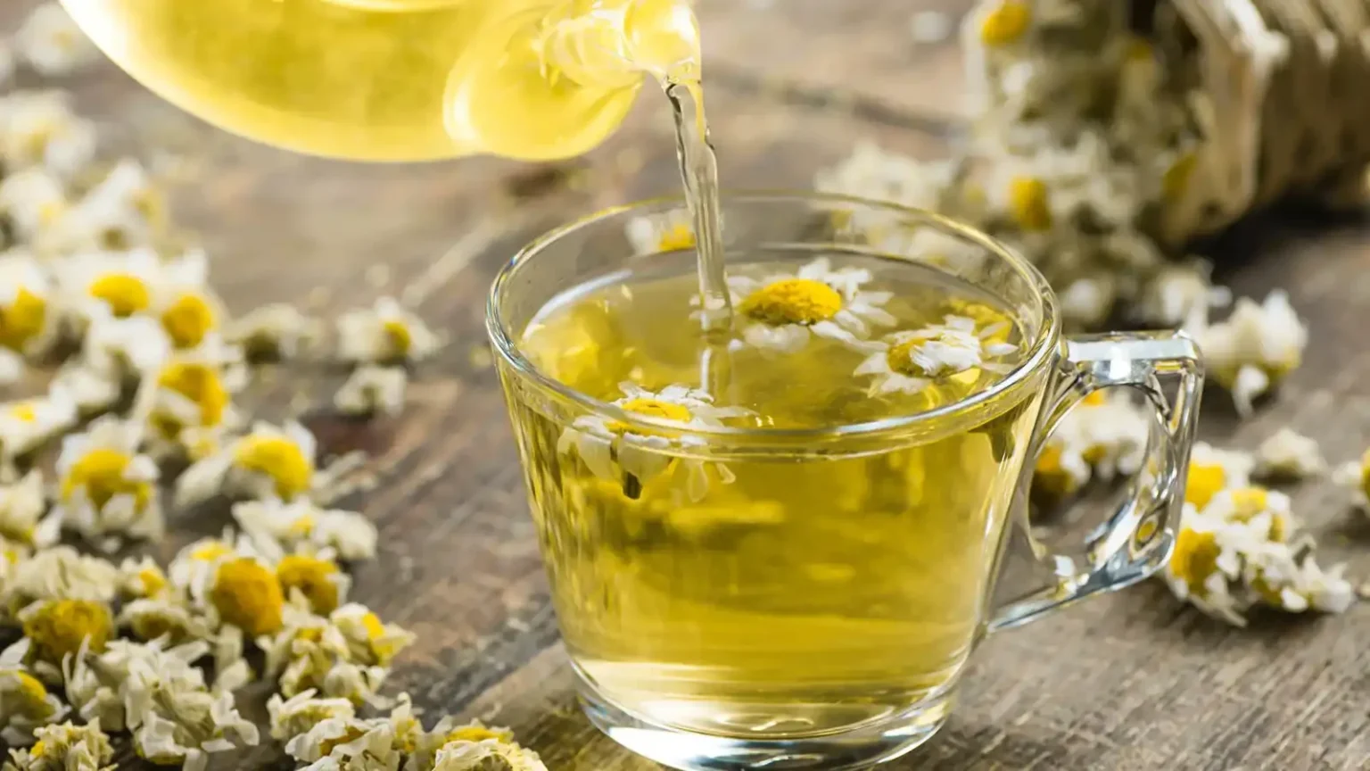 البابونج: نبات شائع يعزز النوم ويخفض ضغط الدم