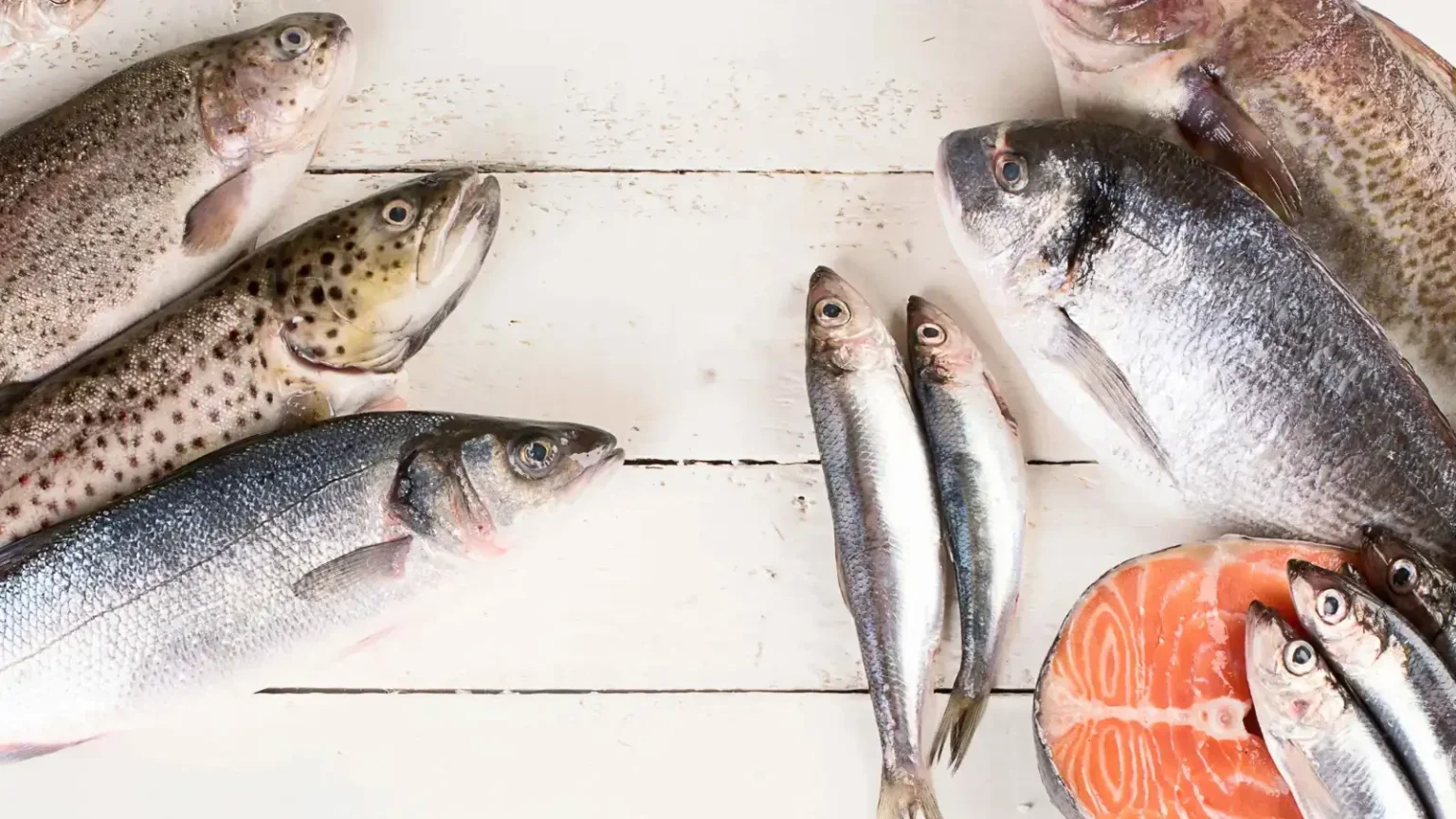 أفضل 5 أسماك صحية منخفضة الزئبق وغنية بالأوميغا-3