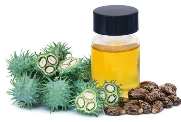 زيت الخروع: فوائد مذهلة واستخدامات متعددة للصحة والجمال