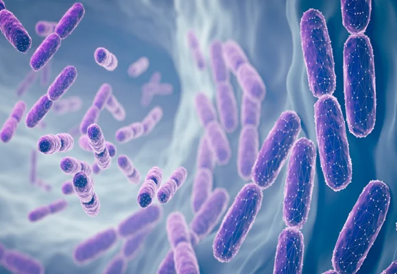 مصيدة معوية مبتكرة لعلاج السمنة والسكري دون تعديل النظام الغذائي