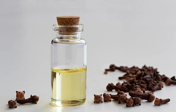 الـقرنفل: فوائده الصحية وتطبيقاته العلاجية