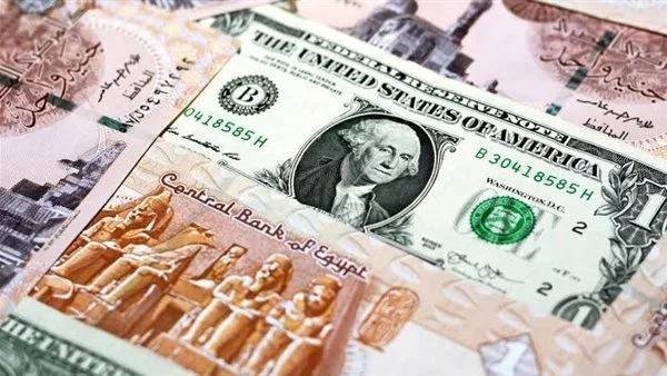 afkarjadida.com 20250926501643