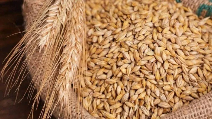 سعر طن الأرز الشعير في الأسواق اليوم السبت 27 سبتمبر 2025 1 afkarjadida.com 20250927068941