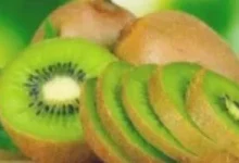 afkarjadida.com 20250927336126