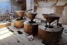 afkarjadida.com 20250927410015