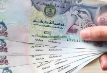 afkarjadida.com 20250927504375
