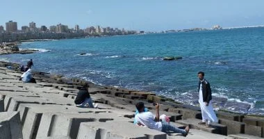 afkarjadida.com 20250927621731