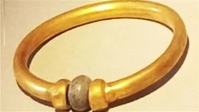afkarjadida.com 20250927762318