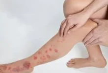 afkarjadida.com 20250927837600
