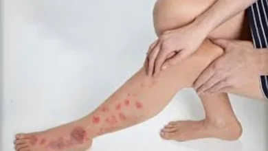 afkarjadida.com 20250927837600