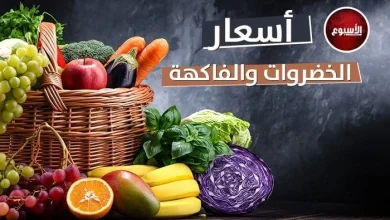 afkarjadida.com 20250927872511