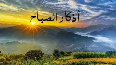 afkarjadida.com 20250927913730