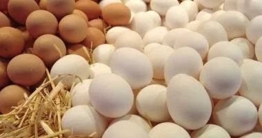 أسعار البيض في كفر الشيخ يوم الأحد 28 سبتمبر 2025