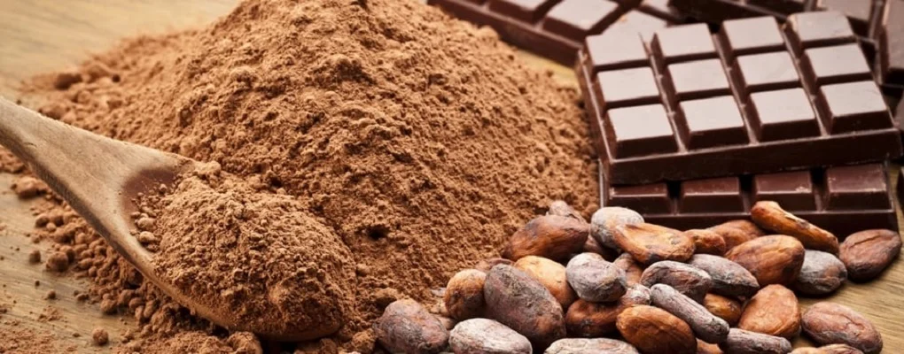 الكاكاو كنز غذائي غني بمضادات الأكسدة والمعادن الحيوية