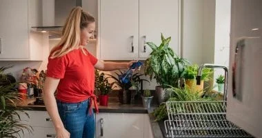 خمسة أمور مهمة عند اختيار نباتك المنزلي في فصل الخريف