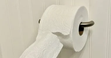 4 حقائق مدهشة عن ورق التواليت وأوراق الذرة