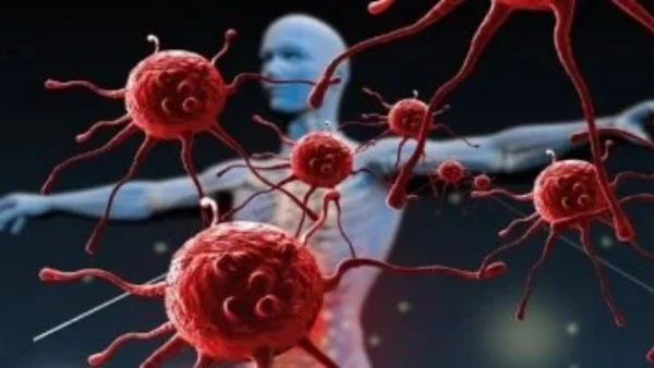 إضافة هذا النوع من التوابل للطعام تفيد صحتك