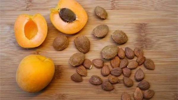 تحذير صحي: نوى المشمش تحتوي مادة سامة تهدد الصحة