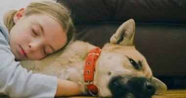 كيف تساهم الحيوانات الأليفة في تحسين حياة أطفالك؟ 8 مميزات مهمة