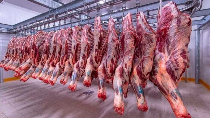 البتلو ب 421 جنيهاً.. أسعار اللحوم اليوم 8-10-2025 