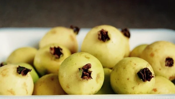 حساسية ومشاكل الهضم: فوائد وأضرار الجوافة قد لا تعرفها