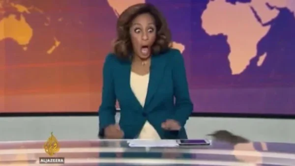 بين الحقيقة والفبركة: جدل حول فأر الجزيرة الإنجليزية