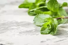 3 فوائد لمشروب النعناع صباحًا 
