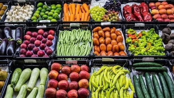 البطاطس 13 جنيها.. أسعار الخضار والفواكه السبت 18 أكتوبر 2025 