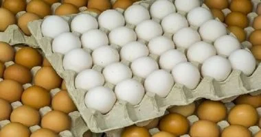 أسعار البيض في كفر الشيخ الأحد 19 أكتوبر 2025