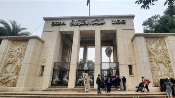 موعد افتتاح حديقة الحيوان بالجيزة بعد التجديد