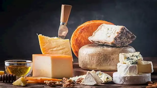 كيف تخزن الجبن بشكل صحيح للحفاظ عليه؟