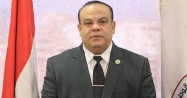 انتخابات مجلس النواب 2025.. آخر موعد لطلبات تغيير اللجان