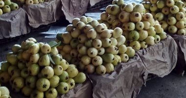 سعر الجوافة فى منافذ وزارة التموين اليوم الأربعاء 22-10-2025
