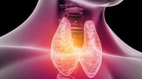 خضار غير متوقع يعزز صحة الغدة الدرقية