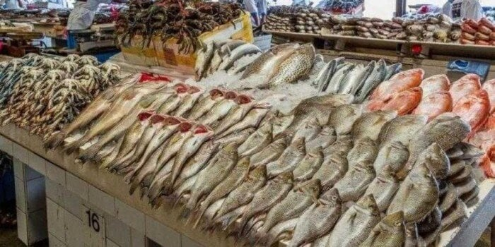 أسعار السمك والجمبري اليوم الجمعة 24 أكتوبر 2025