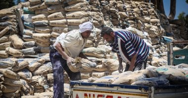 لماذا ثبتت الأسعار؟ سعر الأسمنت الجمعة 24-10-2025