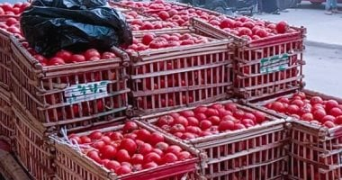 كم سعر الطماطم؟ أسعار الخضار في أسواق الدقهلية الجمعة 24 أكتوبر
