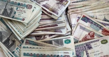 صناديق التأمين الخاصة تواصل الصعود.. 20 مليار جنيه خلال 8 أشهر