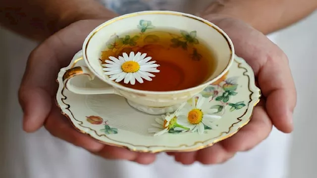 احذر الإفراط في شرب البابونج: أضراره