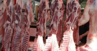 كم سعر اللحمة البلدى في كفر الشيخ السبت 25 أكتوبر 2025