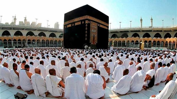 غرفة الشركات: ضوابط الحج تضمن حقوق الحجاج وراحتهم وسلامتهم