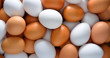 أسعار البيض في كفر الشيخ اليوم السبت: الأحمر 5.5 جنيه