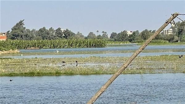 التوعية وليست العقوبات هي الحل لمواجهة تعديات على نهر النيل