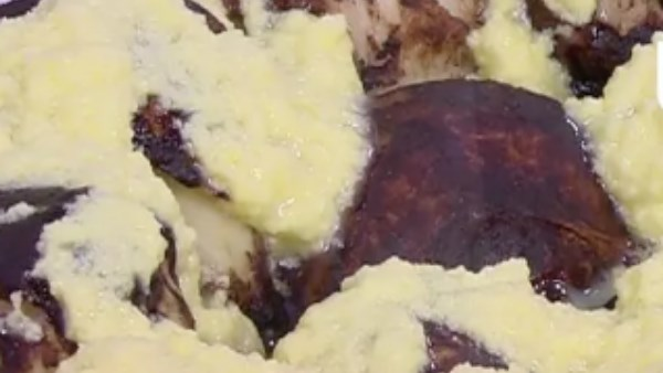 خلية نحل بصوص الجبنة وصفة جديدة وغير تقليدية