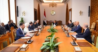 وزير الخارجية يتابع استعدادات الوزارة لافتتاح المتحف المصري الكبير