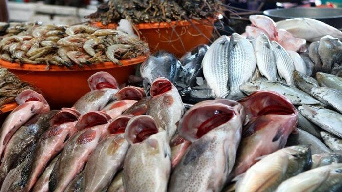 مكرونة سويسي بـ 135 جنيها.. أسعار الأسماك والجمبري الأحد 26 أكتوبر 2025